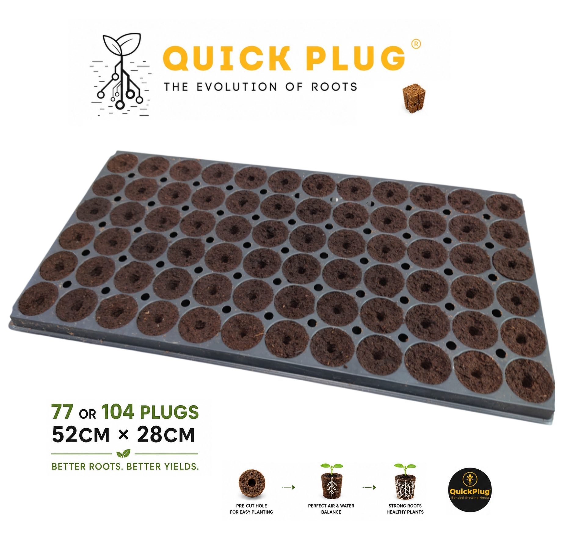 quick plug3-Photo